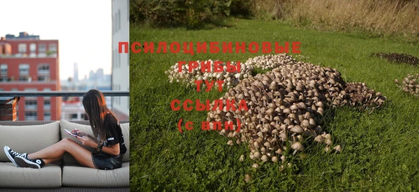 ALPHA-PVP Нефтекумск