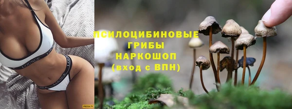 МДПВ Нефтегорск