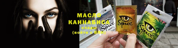МДПВ Нефтегорск