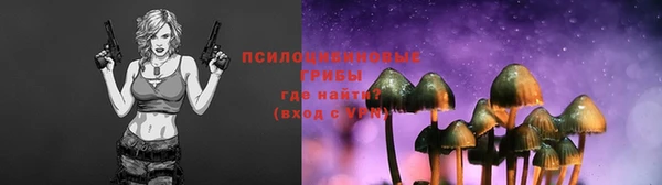 ALPHA-PVP Нефтекумск