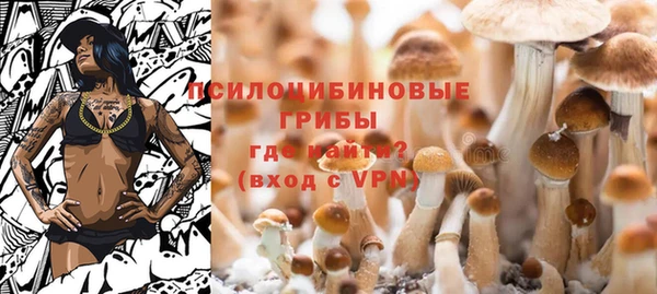 МДПВ Нефтегорск