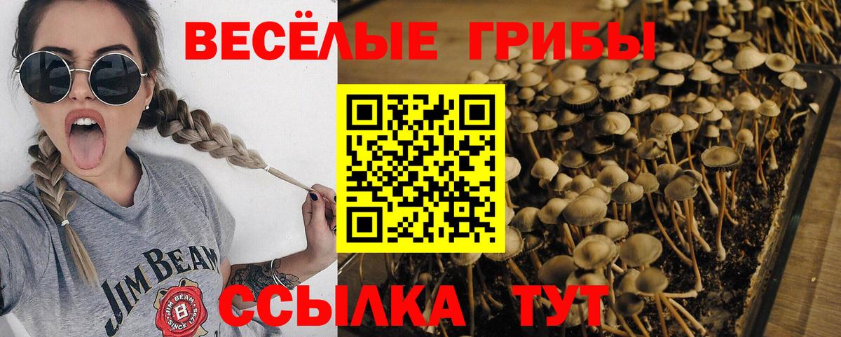 Галлюциногенные грибы прущие грибы Североморск