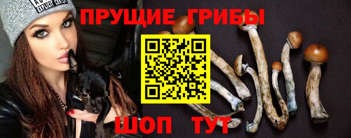 Галлюциногенные грибы мицелий  Североморск 