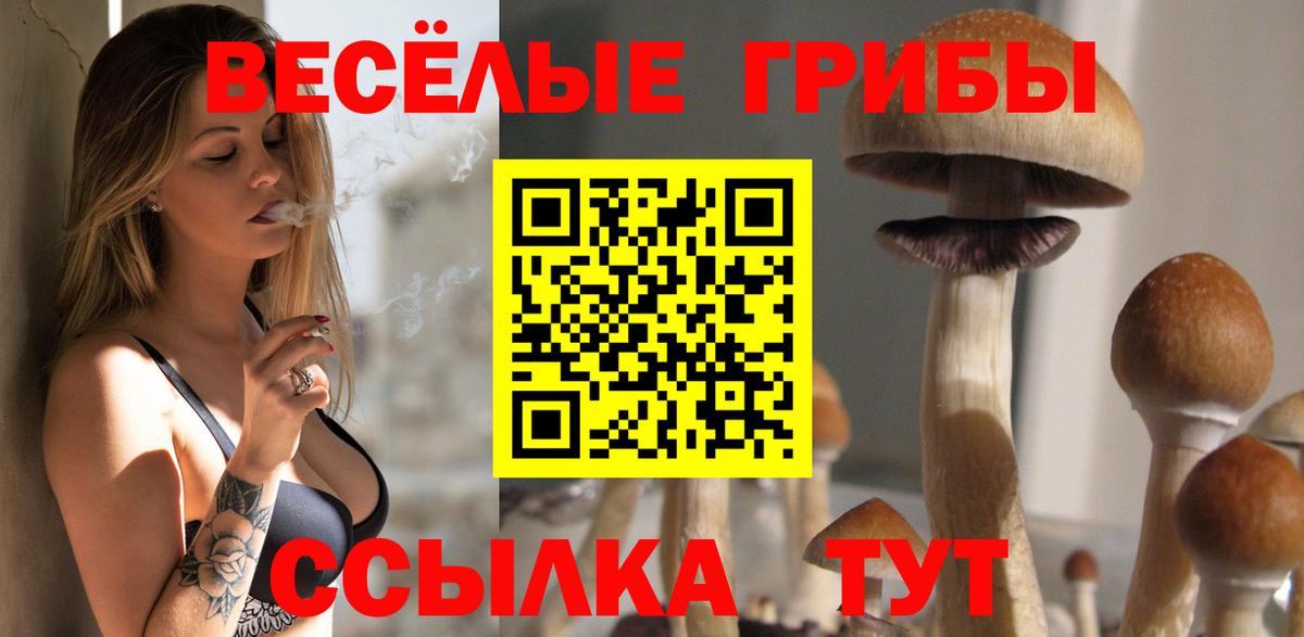 где купить наркотик  Вход с VPN  Североморск  Псилоцибиновые грибы ЛСД 